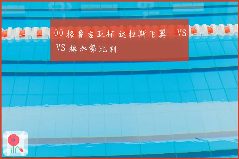 00 格鲁吉亚杯 达拉斯飞翼 VS VS 梅加第比利
