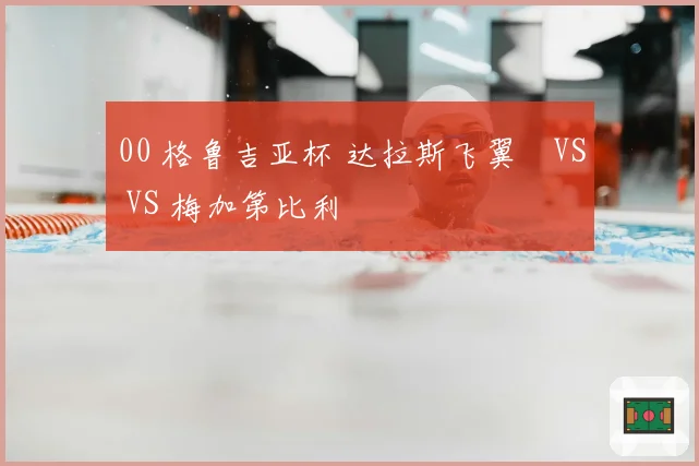 00 格鲁吉亚杯 达拉斯飞翼 VS VS 梅加第比利