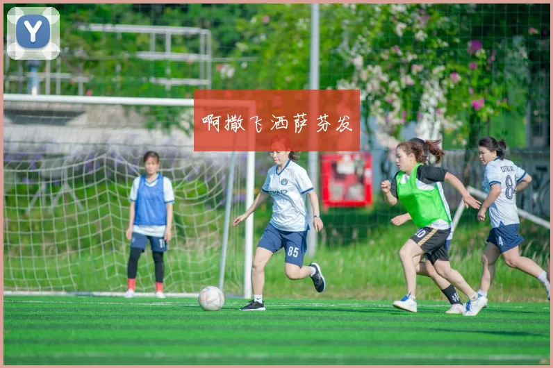 00 格鲁吉亚杯 达拉斯飞翼 VS VS 梅加第比利斯